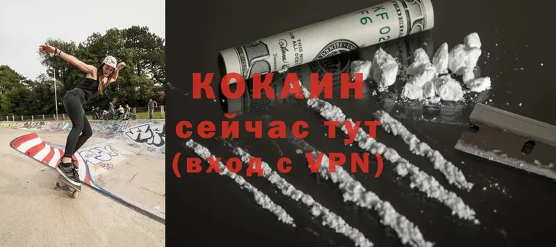 COCAIN Fish Scale  Болохово 